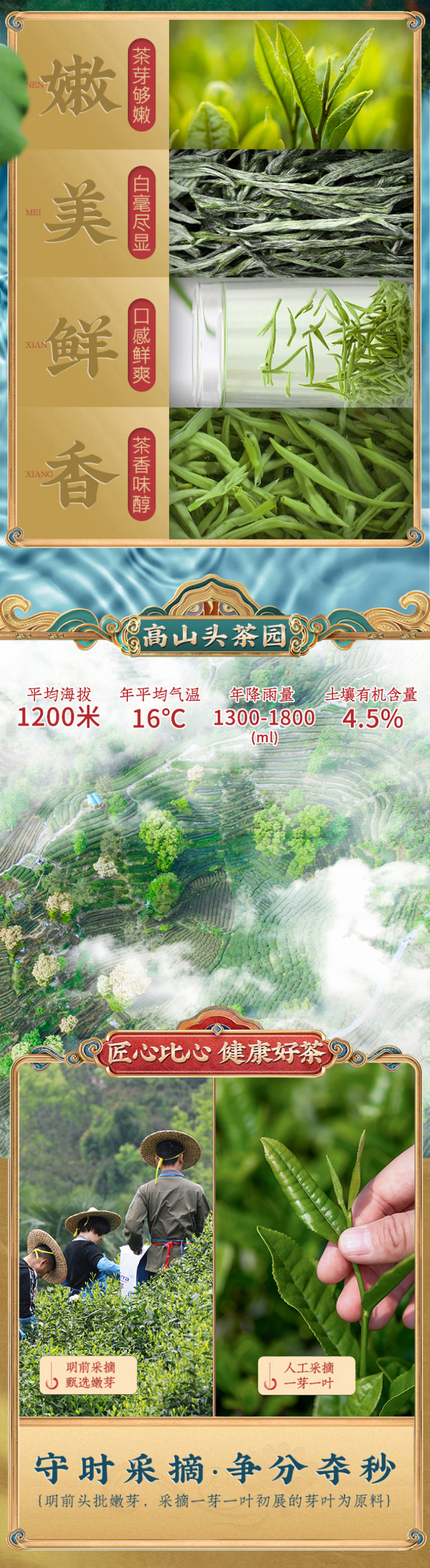 明前毛尖茶新茶浓香型高山绿茶春茶嫩芽散装罐装茶叶250g