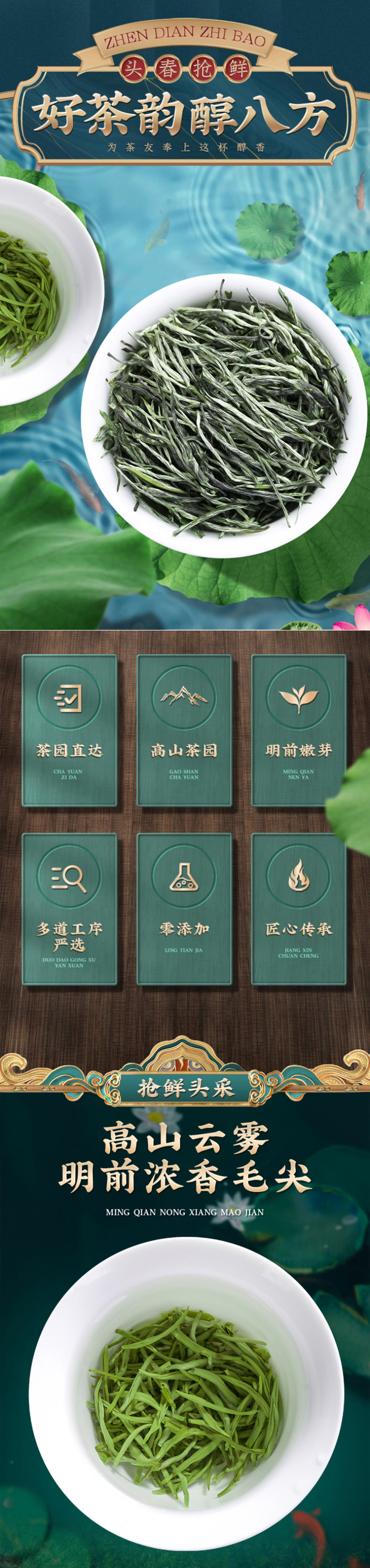 2026毛尖茶叶新茶明前春茶浓香型炒青毛尖绿茶嫩芽茶叶