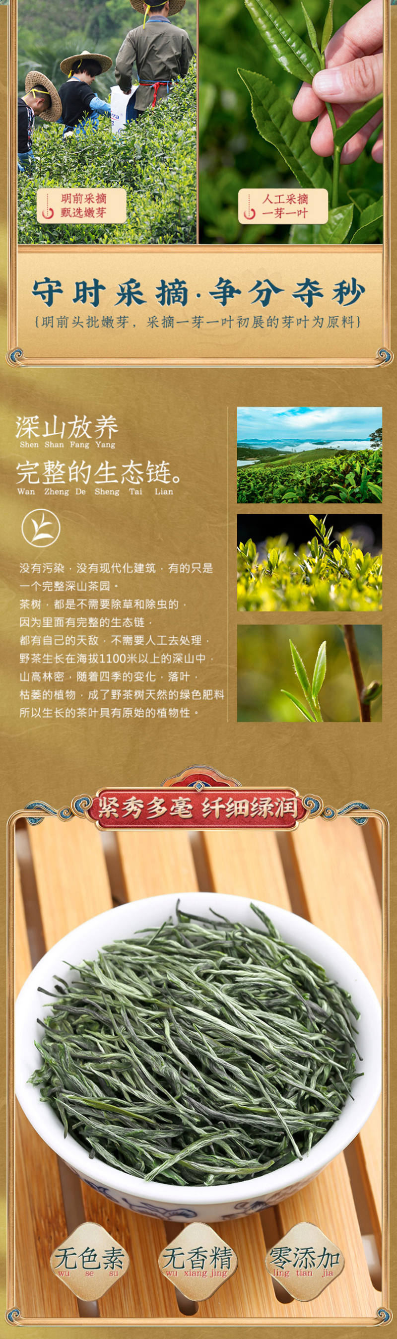 2026毛尖茶叶新茶明前春茶浓香型炒青毛尖绿茶嫩芽茶叶