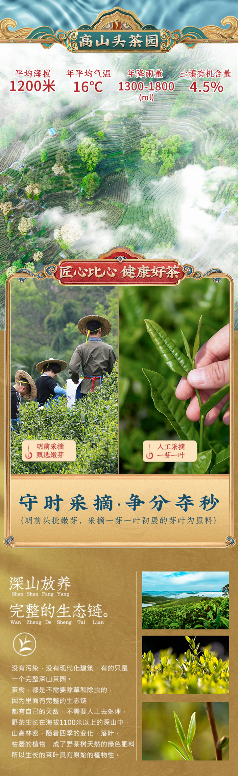 正宗毛尖茶2026新茶叶明前春茶嫩芽散装罐装绿茶500g