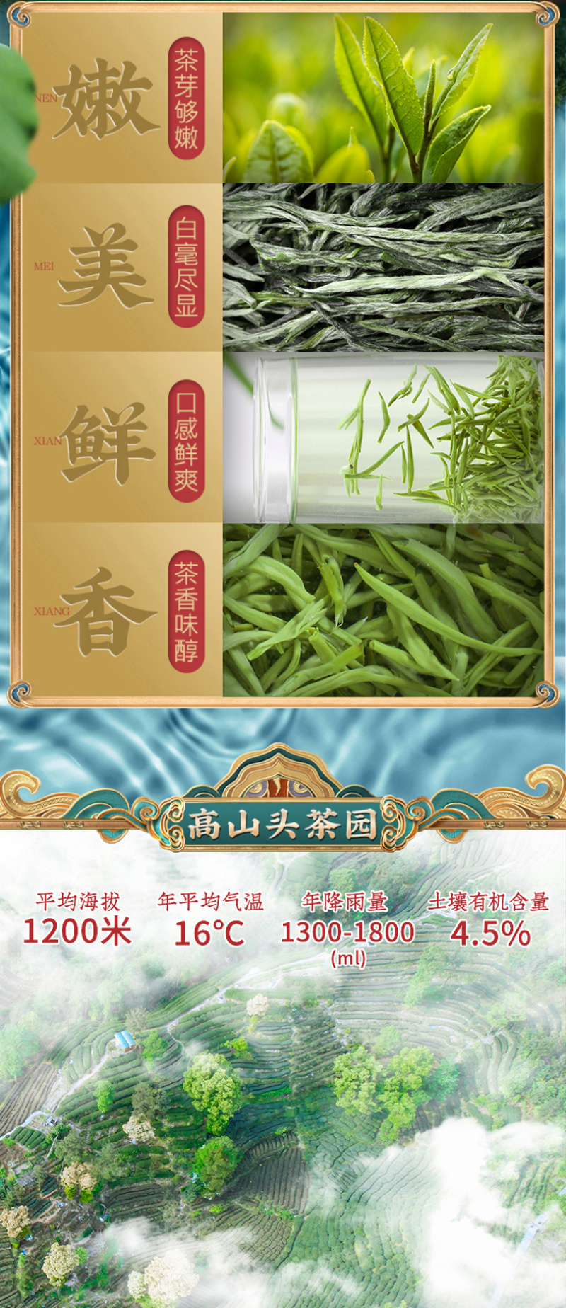 毛尖茶叶新茶明前春茶浓香型炒青毛尖绿茶嫩芽茶叶500克