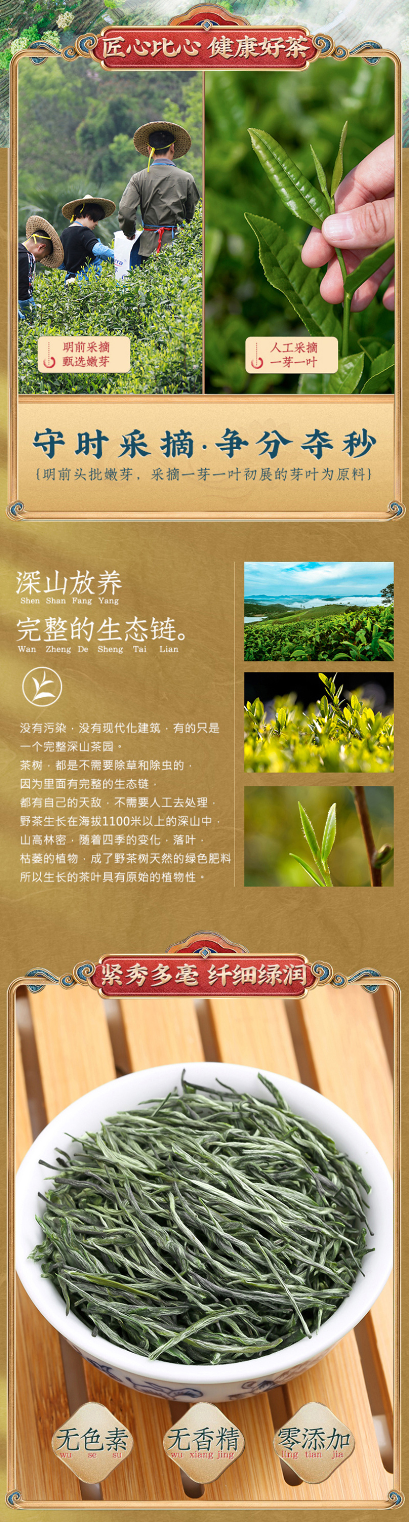 毛尖茶叶新茶明前春茶浓香型炒青毛尖绿茶嫩芽茶叶500克