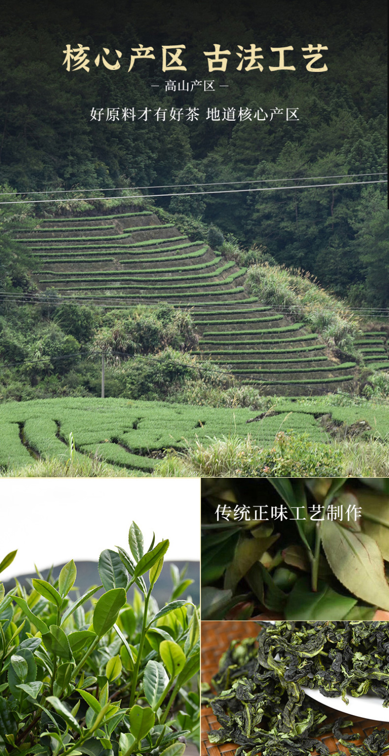 新茶安溪新枞铁观音茶叶清香浓香型春茶罐装乌龙茶500g