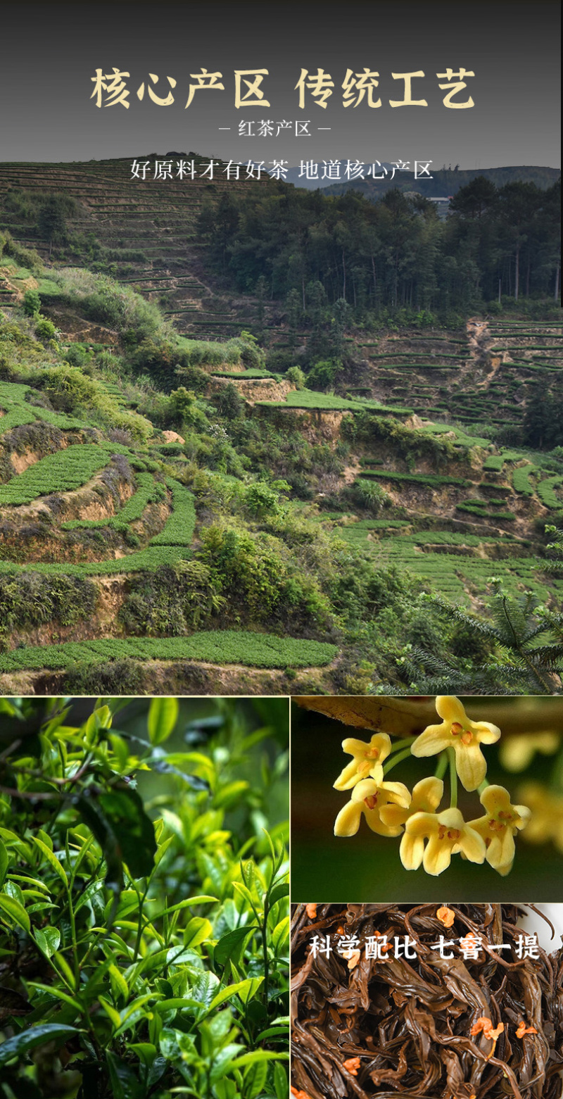 桂花红茶正宗新茶小种茶叶正山小种蜜香型浓香红茶500g