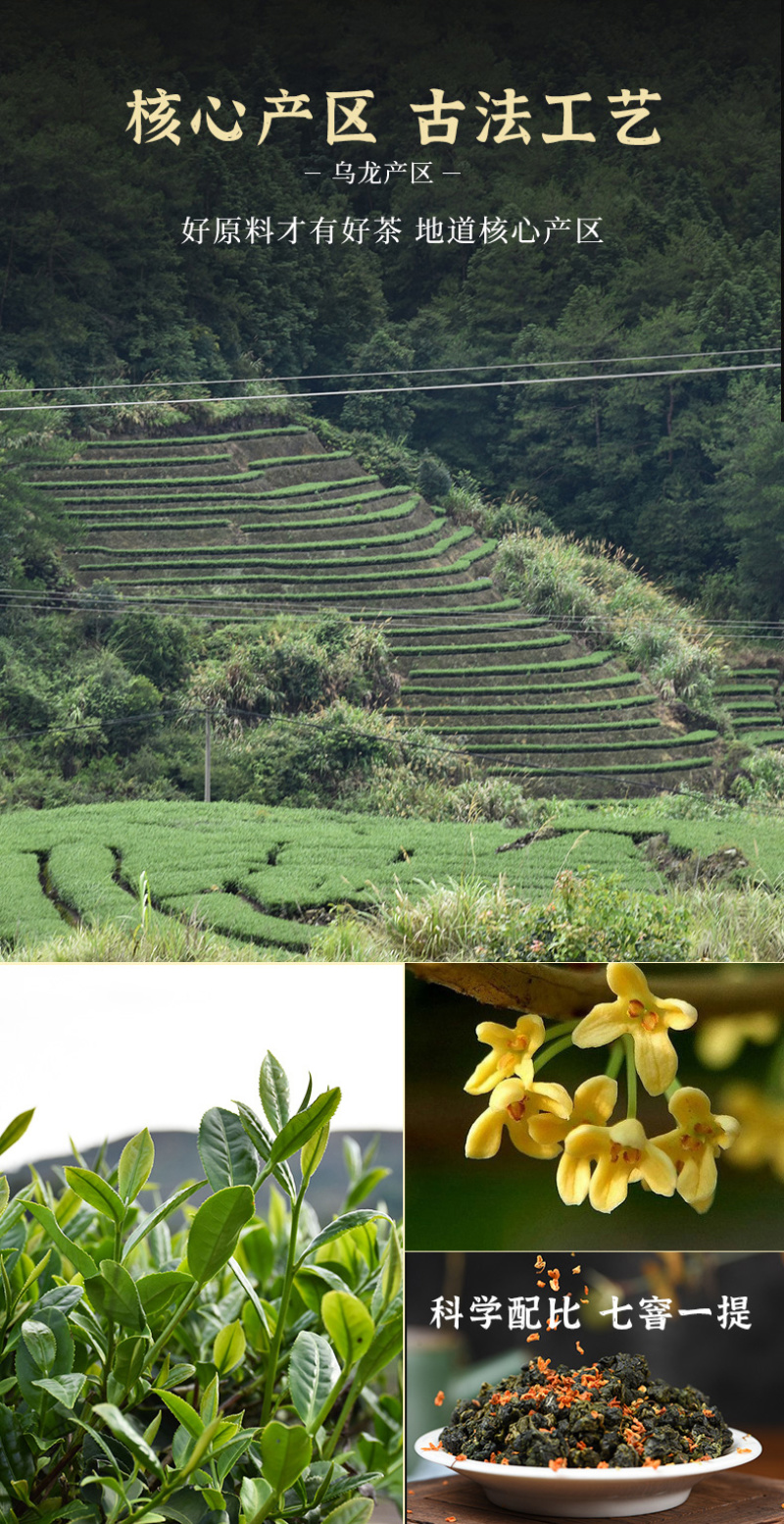桂花乌龙茶新茶高山铁观音茶桂花香乌龙茶浓香茶叶500g