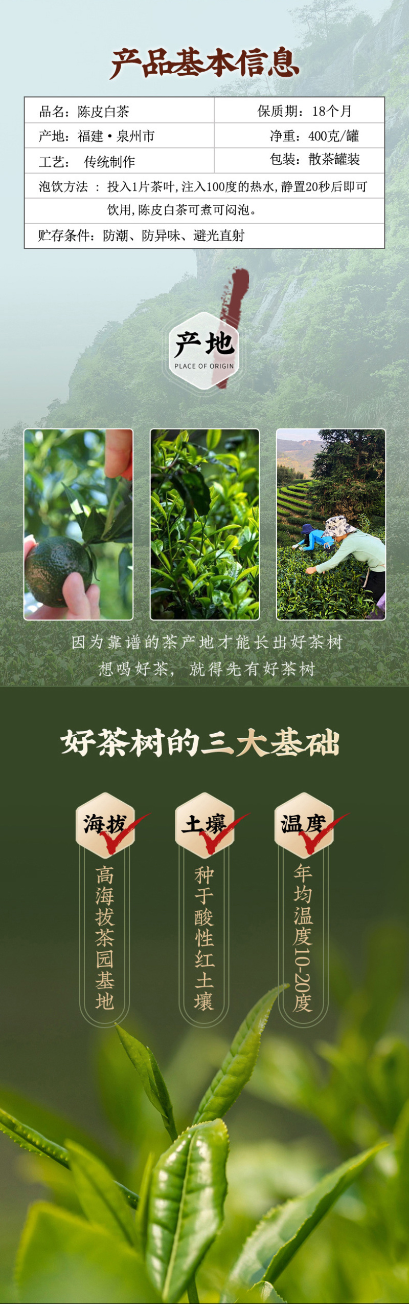 福鼎陈皮白茶老白茶独立小方片高山寿眉贡眉紧压茶叶400g