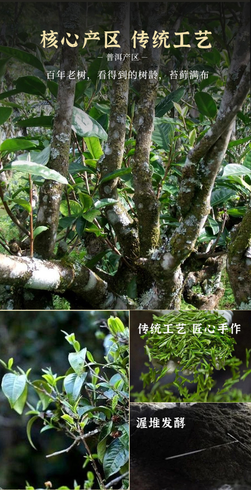 碎银子500g普洱茶熟茶茶叶熟普洱化石糯米香云南古树黑茶