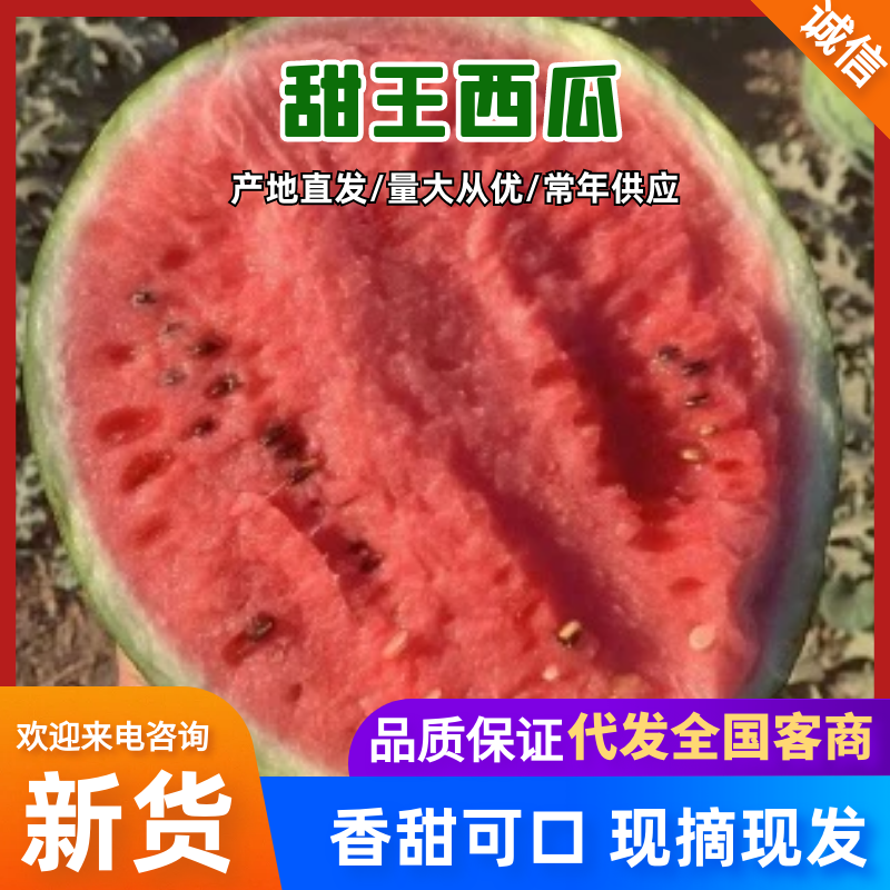 清苑产区吊瓜大量上市
