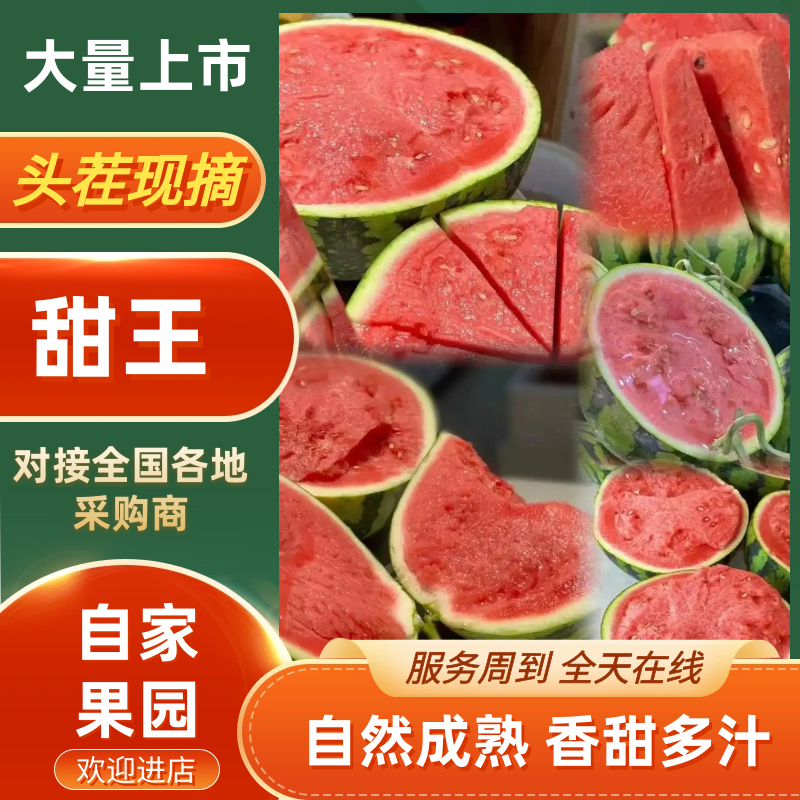 甜王西瓜品种保障价格美丽欢迎老板起来联系