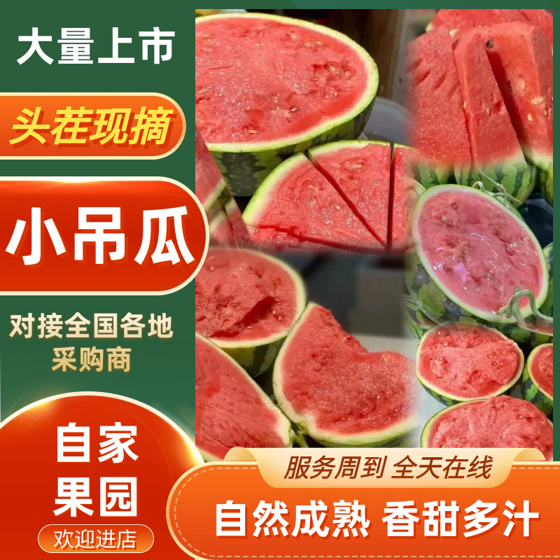 甜王西瓜品种保障价格美丽欢迎老板起来联系