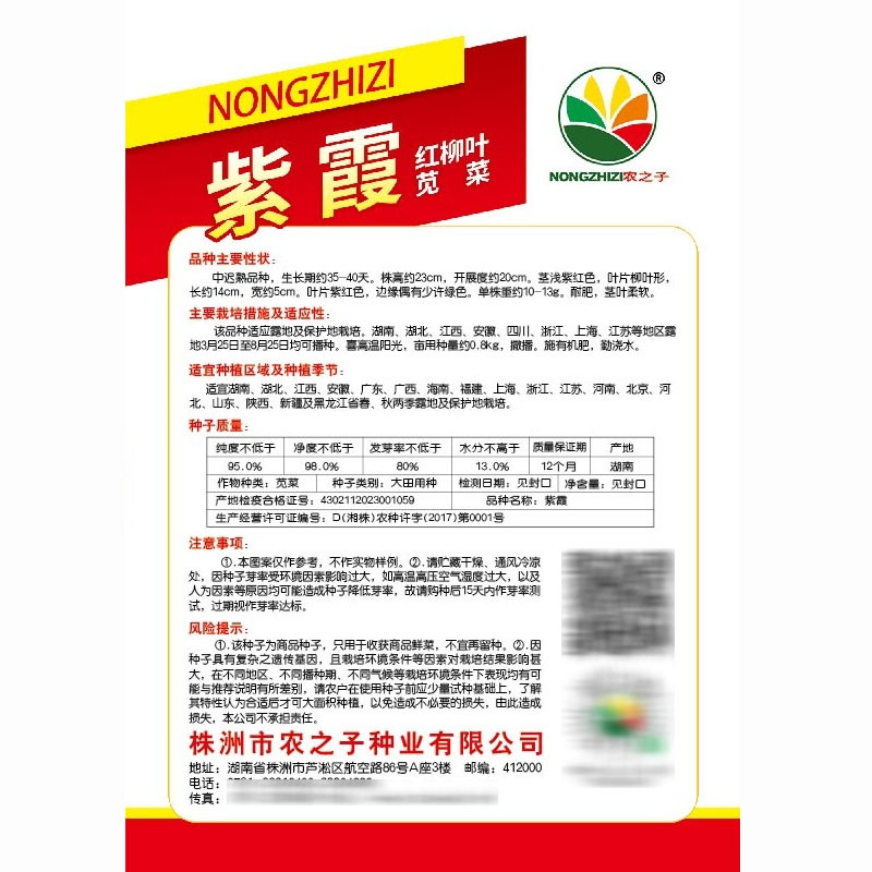 紫霞红柳叶苋菜种子紫苋菜籽春夏秋冬播种孑四季种蔬菜抗寒易