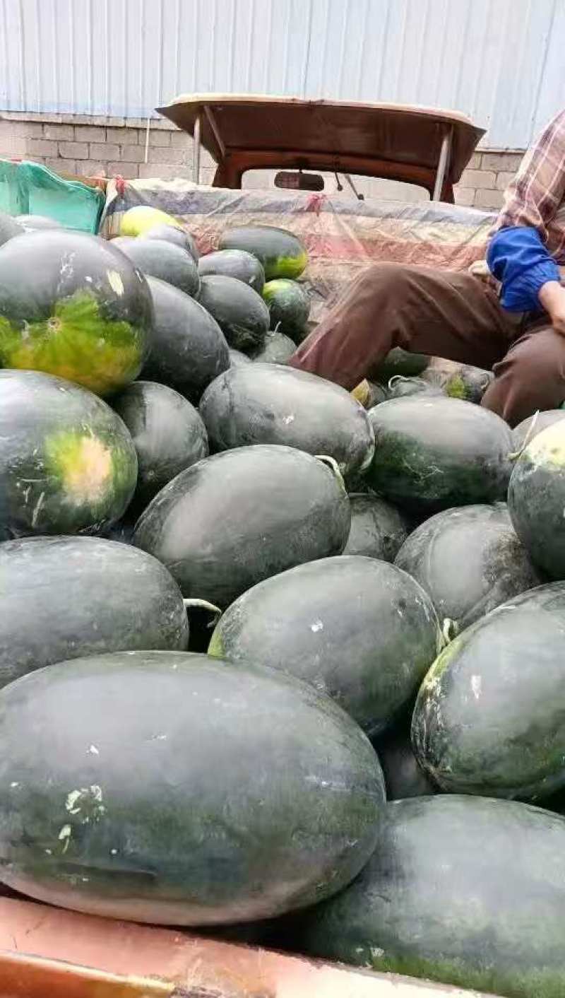 湖北西瓜黑美人西瓜一手货源包熟包甜可视频看货