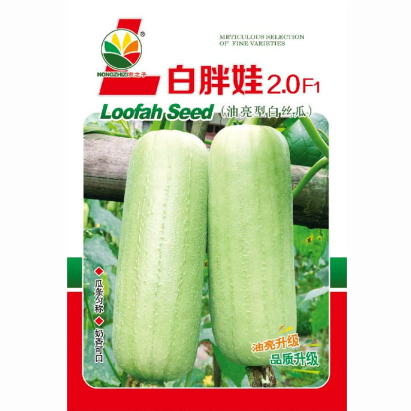 白胖丝瓜种子农之子香玉白早熟油亮白丝瓜良种10克原装包邮