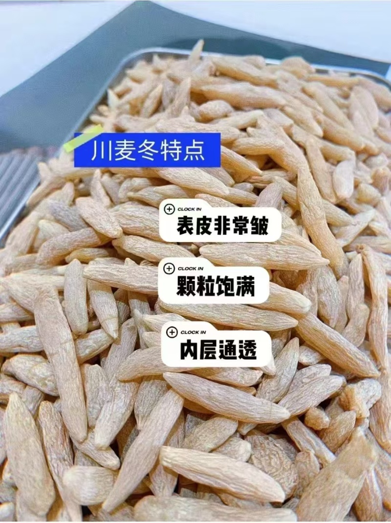 【精选】四川绵阳三台精品道地川麦冬种植户直卖可视频看货