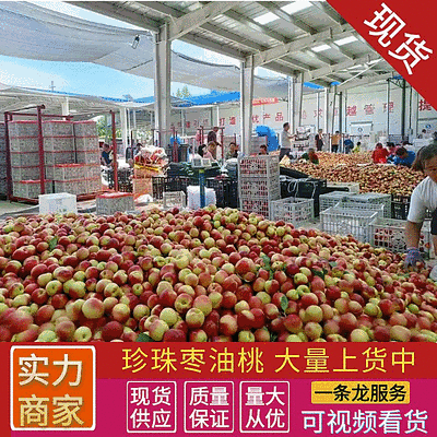 《珍珠枣油桃》陕西油桃/现摘现发/规格齐全/可全国发货