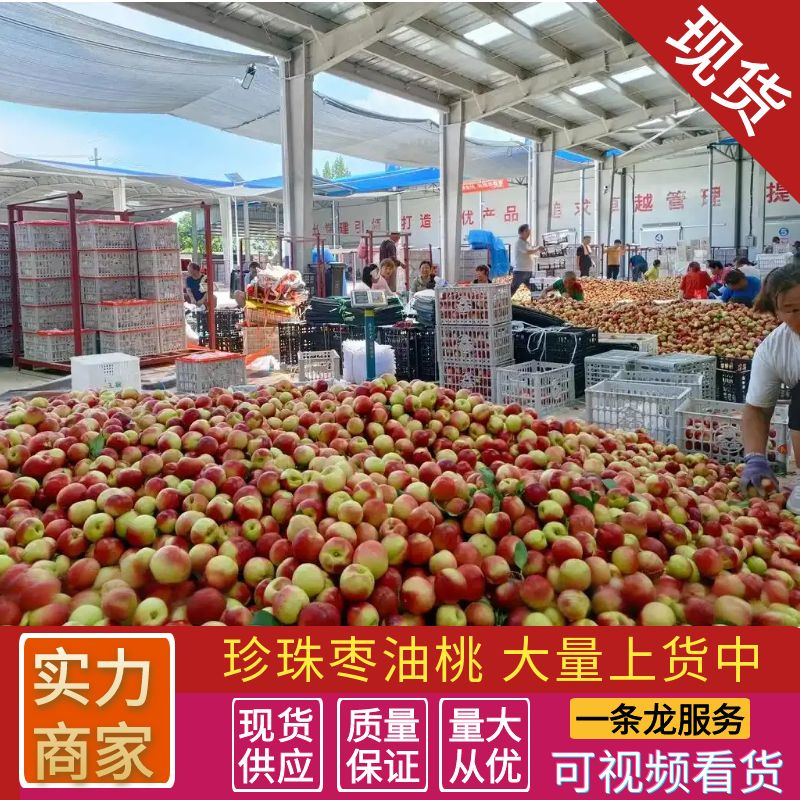 《珍珠枣油桃》陕西油桃/现摘现发/规格齐全/可全国发货