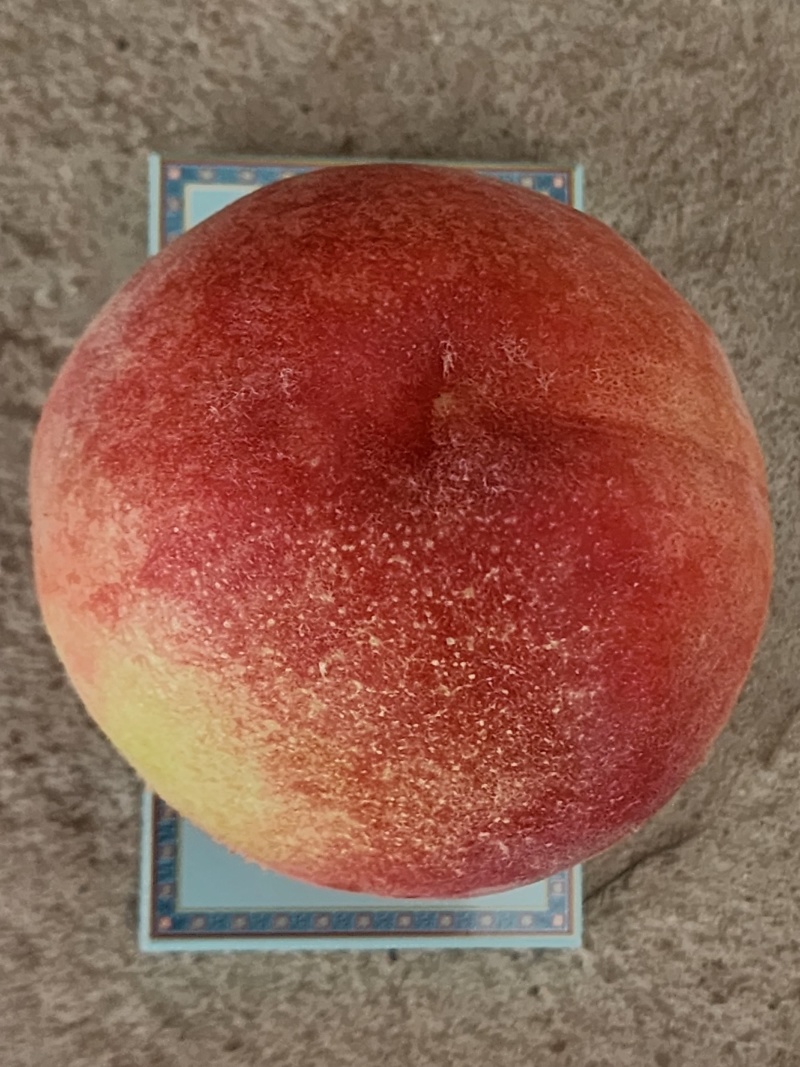 中桃5号大量上市精品直供新鲜一手货源电联详谈
