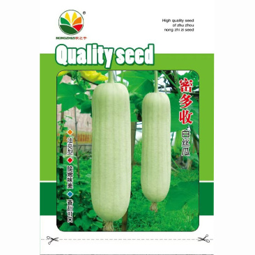 新糯香白皮白丝瓜种子密多白水瓜南方早熟高产肉丝瓜四季种