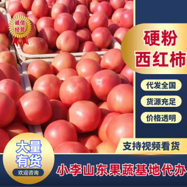 西红柿新货上市量大质优支持全国发货。欢迎各地老板前来选购。