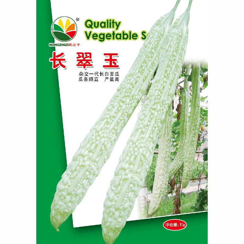长翠玉一代长白苦瓜种子瓜条顺直产量高杂交苦瓜种子