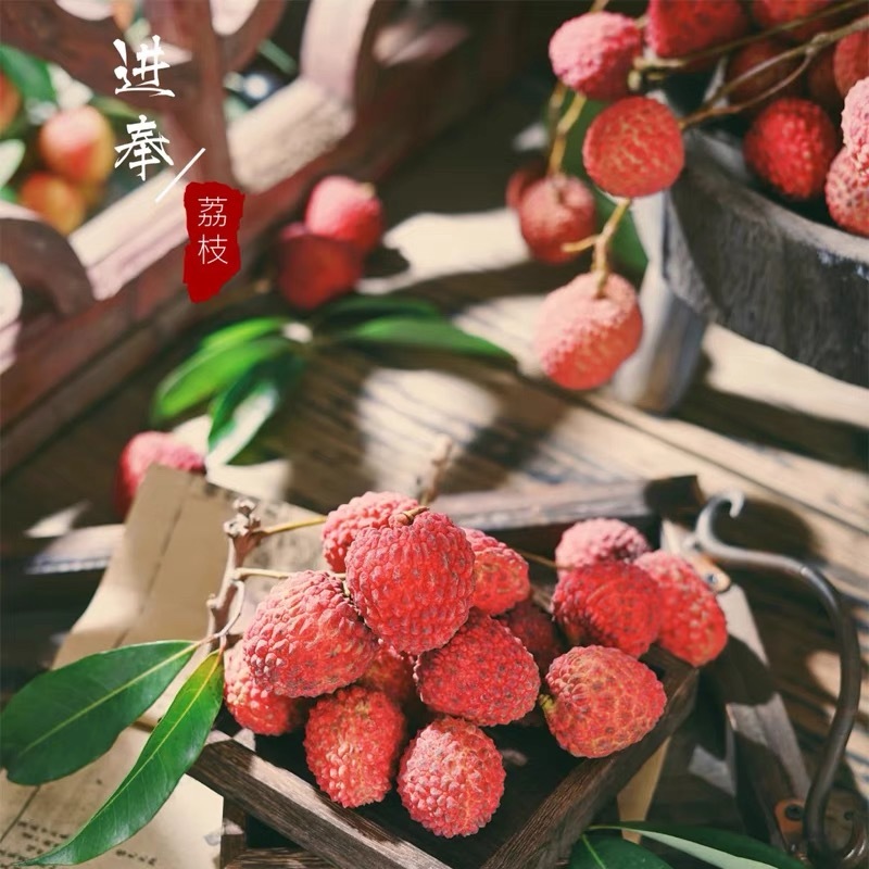 增城仙进奉荔枝熟度刚好耐储存运输承接电商社区团购直播带货