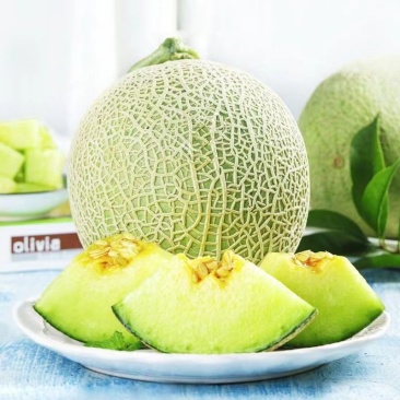 山东网纹瓜玫珑瓜品质
