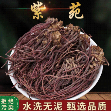 紫苑中药材紫苑无硫紫菀子去头纯须子规格齐全