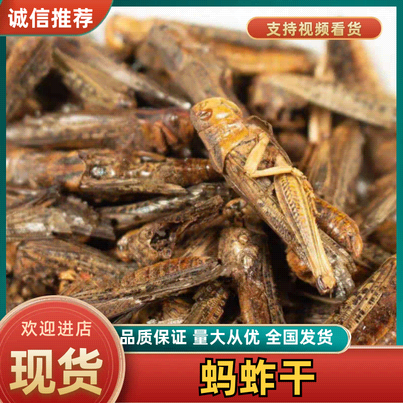 蚂蚱干中药材蝗虫蚱蜢飞蝗新货干净