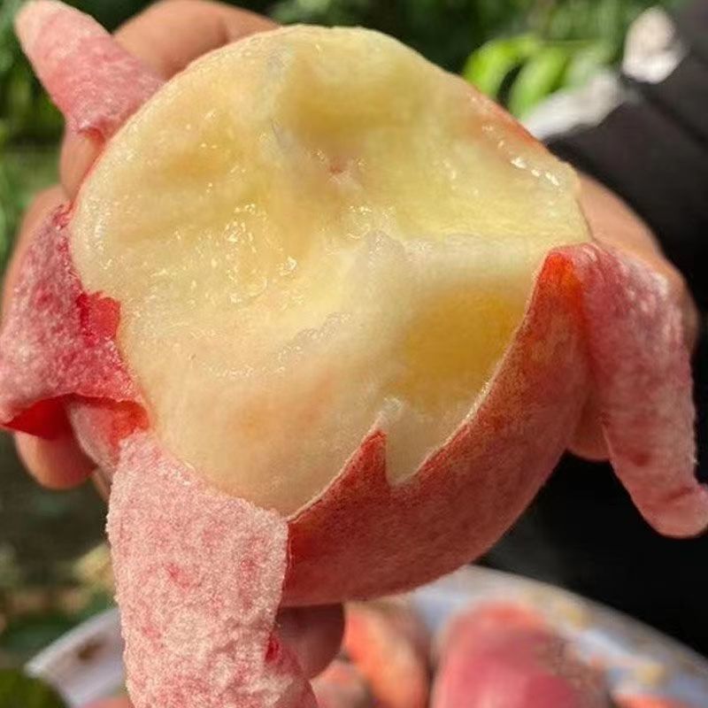 龙泉驿水蜜桃当季新鲜水果爆甜多汁顺丰空运