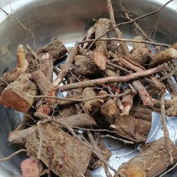 酸枣树根大货供应正宗野生酸枣树根代加工超细粉