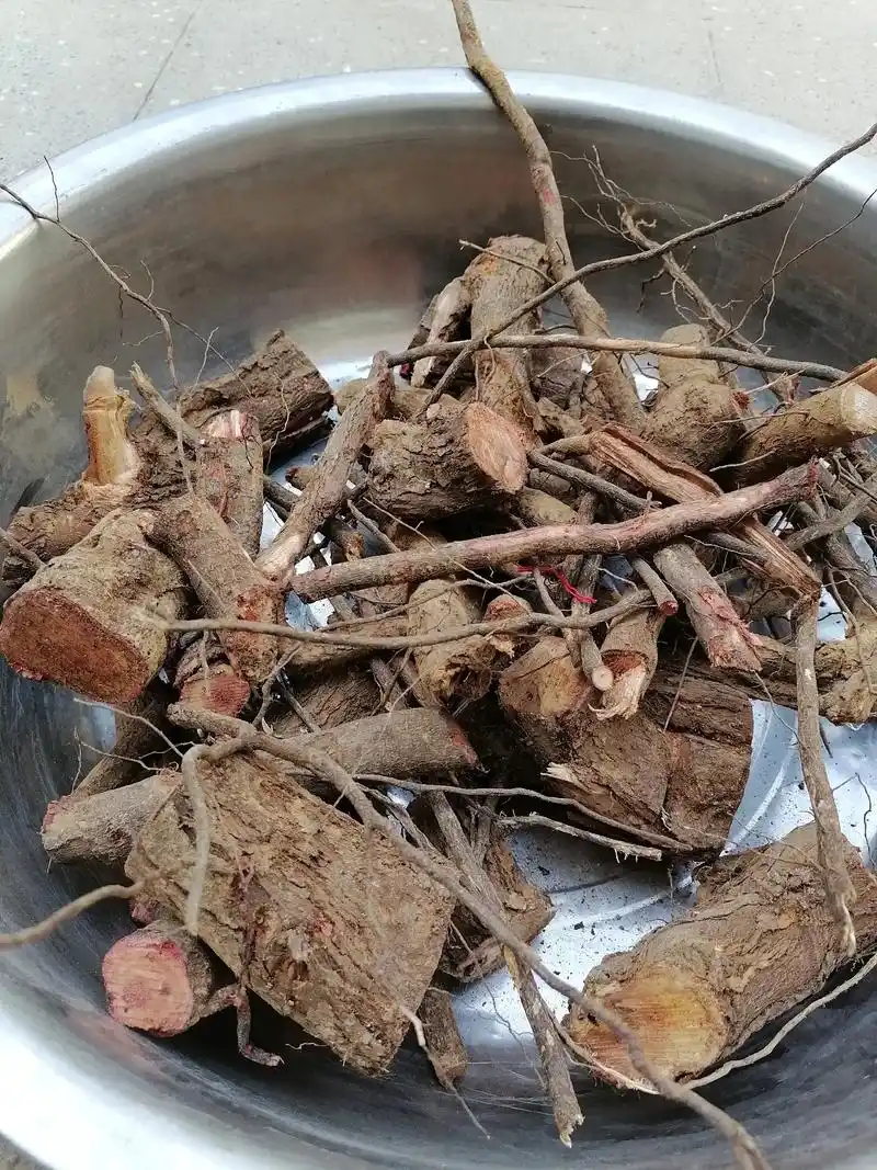 酸枣树根大货供应正宗野生酸枣树根代加工超细粉