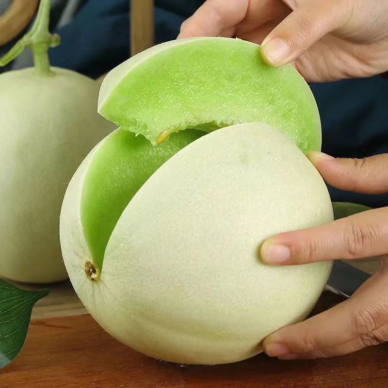 山东玉菇甜瓜当季新鲜水果品质果一件代发