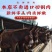驴肉现杀新鲜生鲜驴肉正宗农家散养真空冷链河北特产去皮驴肉
