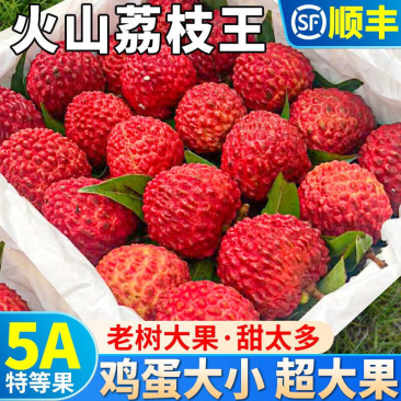 广西荔枝王一件代发产地直发一手货源对接各大电商平台