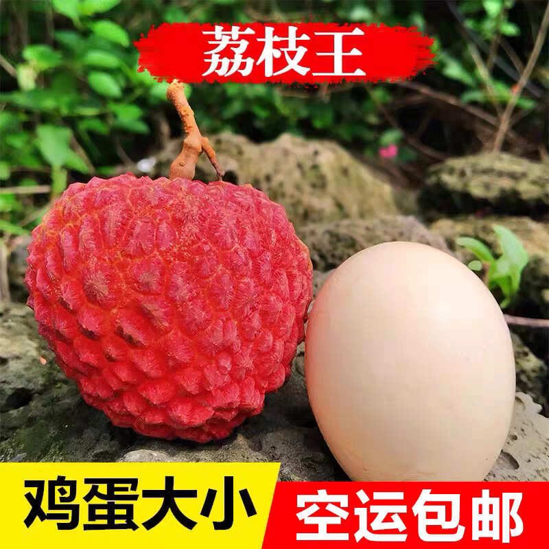 广西荔枝王一件代发产地直发一手货源对接各大电商平台