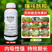 240克/升噻呋酰胺水稻内吸传导纹枯病花生白绢病正品老品