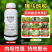240克/升噻呋酰胺水稻内吸传导纹枯病花生白绢病正品老品