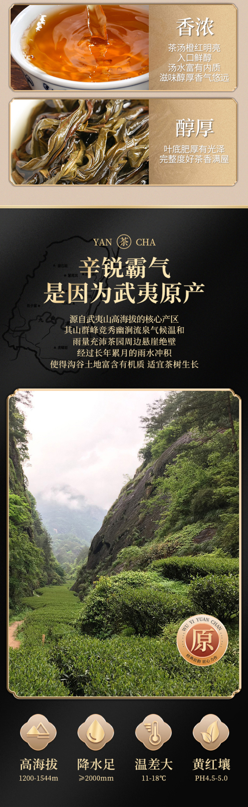 武夷岩茶正岩肉桂茶果香浓香型250g正宗大红袍乌龙水仙