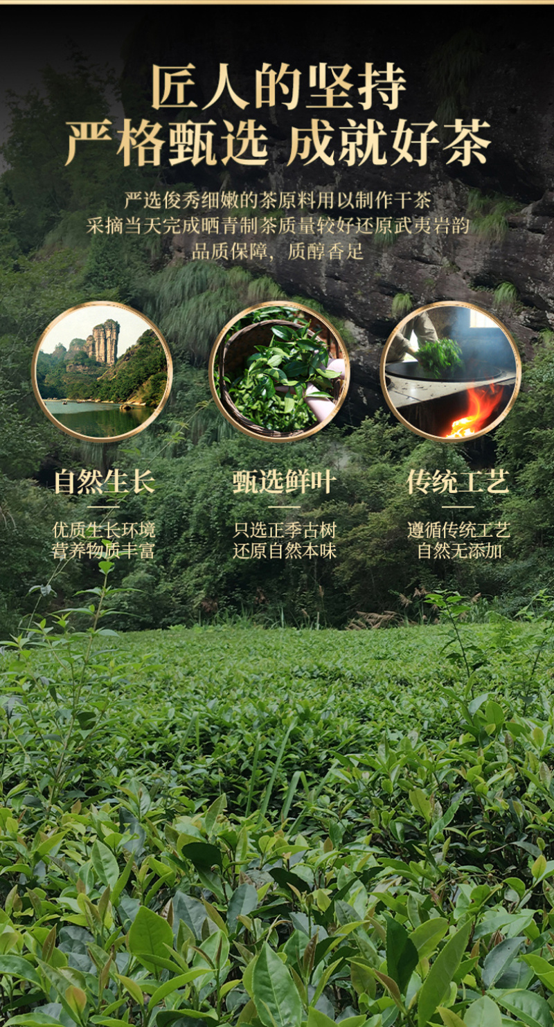 武夷岩茶正岩肉桂茶果香浓香型250g正宗大红袍乌龙水仙