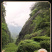 2026福建武夷山大红袍高山肉桂水仙散装乌龙茶叶300g