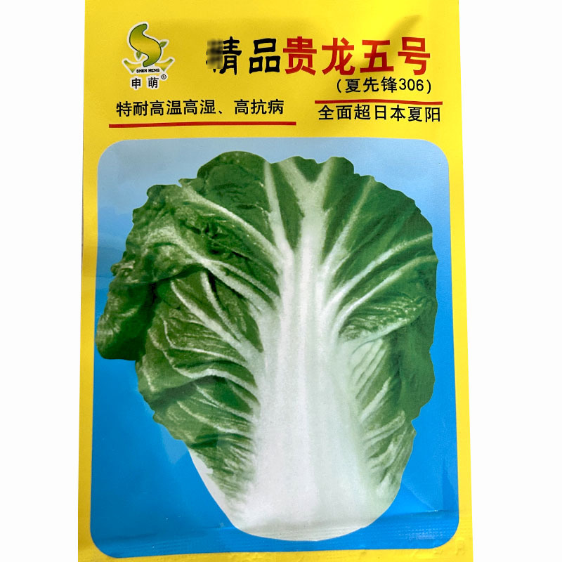 夏秋季白菜种子贵龙五号超夏阳耐热耐湿抗病菜地基地