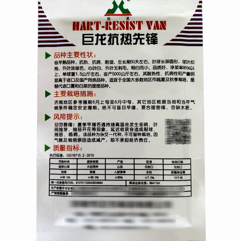 巨龙抗热先锋白菜种子耐热38度抗热大白菜高产越夏