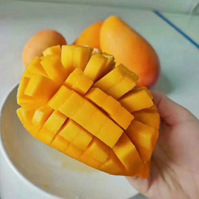 云南潞江坝鹰嘴芒象牙芒电商货二级果现发一件代发