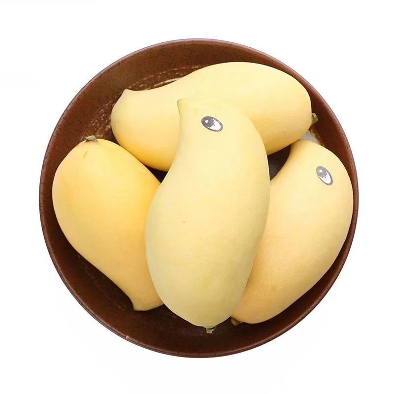 云南潞江坝鹰嘴芒象牙芒电商货二级果现发一件代发