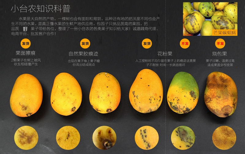 云南保山潞江坝小台农核薄如纸电商货小果花果一件代发