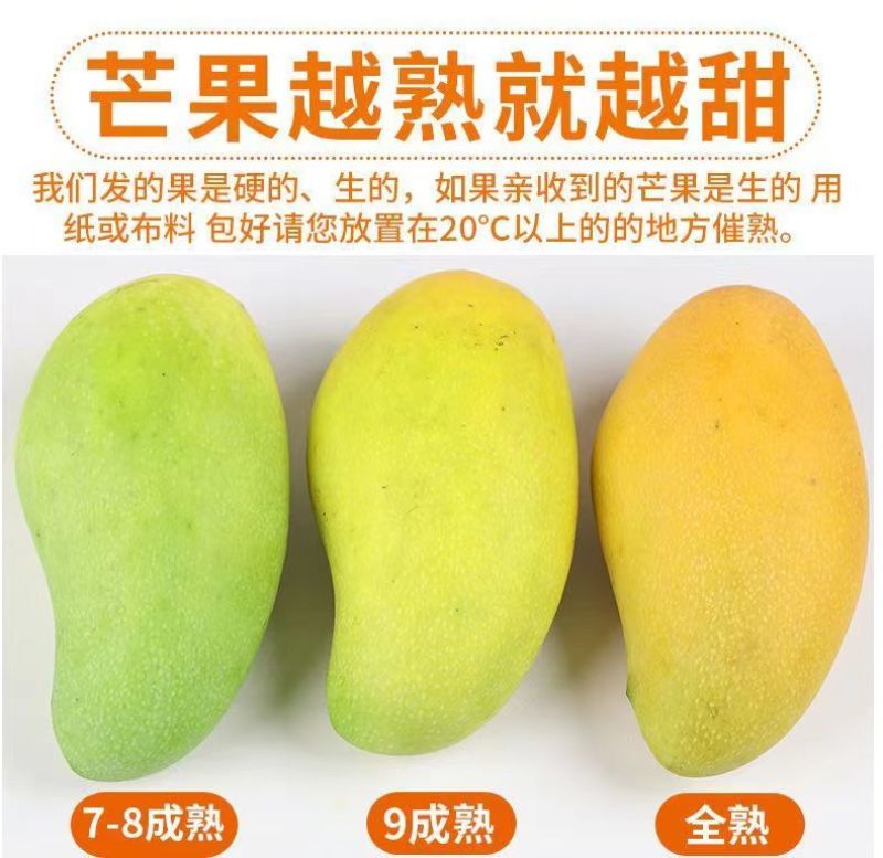云南保山大青芒金煌芒一件代发外绿内黄无催熟八成熟采电商货