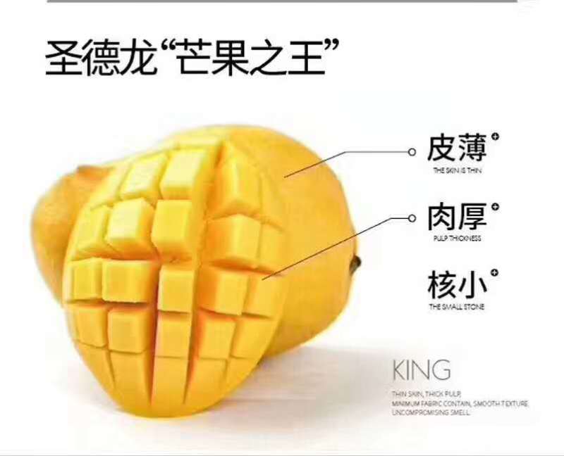精品果一级货圣德隆云南保山现摘现发钻石芒果黄芒果纯甜无丝