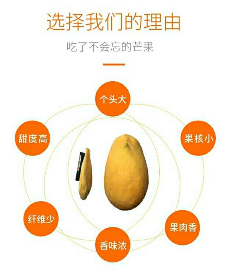 精品果一级货圣德隆云南保山现摘现发钻石芒果黄芒果纯甜无丝