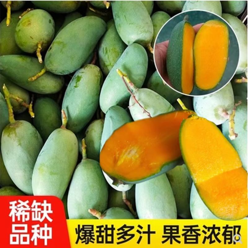 【小青芒】云南保山纯甜小青芒精品果