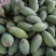 【小青芒】云南保山纯甜小青芒精品果